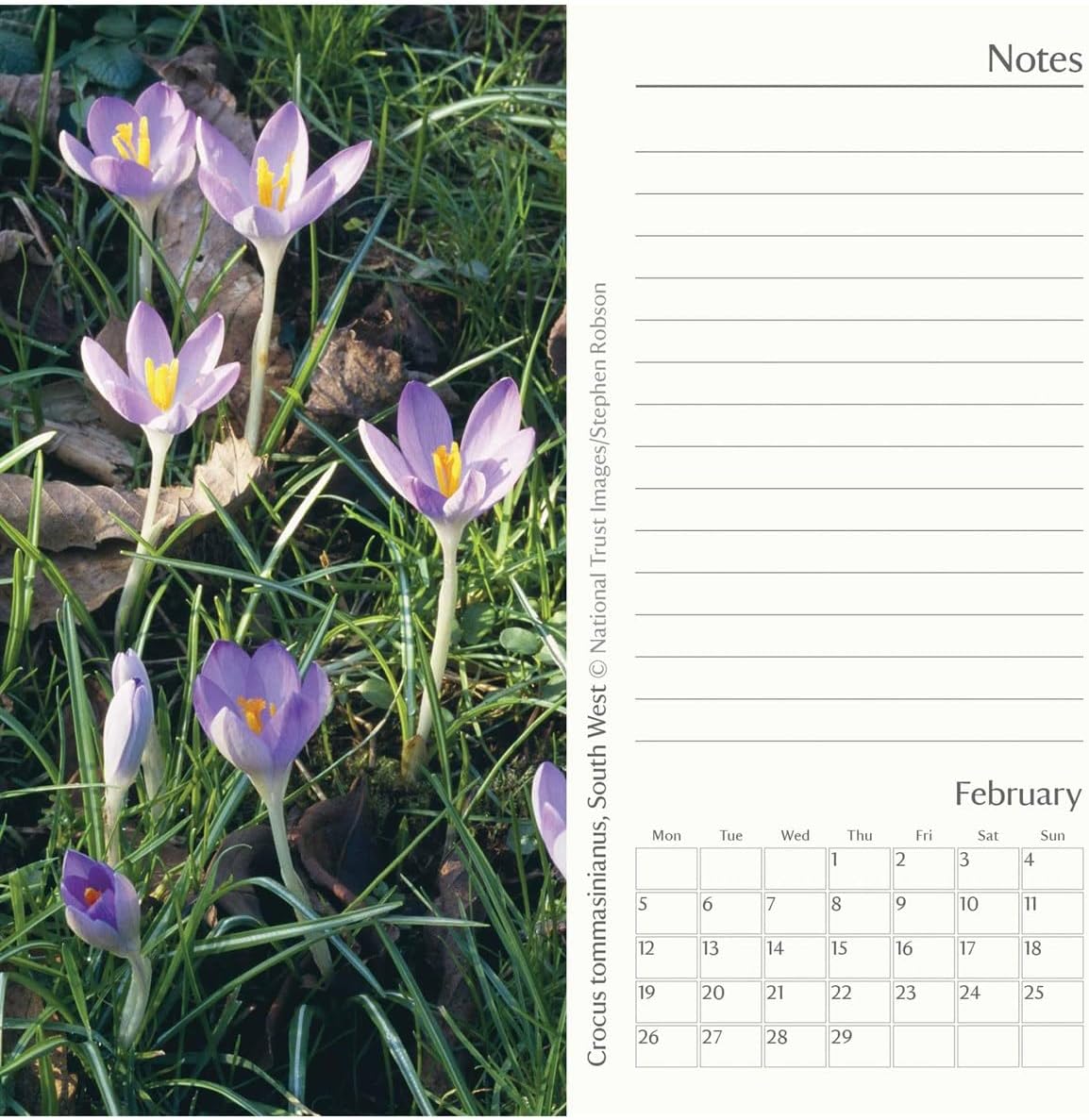CAROUSEL CALENDARS National Trust Slim Diary 2024