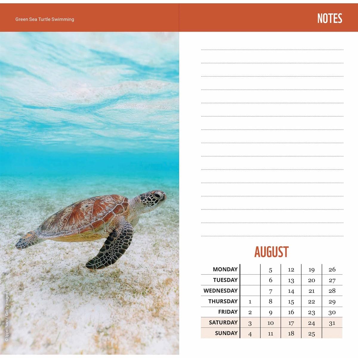 2024 Wwf Wild & Free Slim Diary