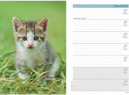 2024 Kittens A5 Engagement Diary