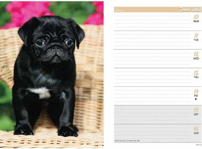 2024 Pugs A5 Engagement Diary