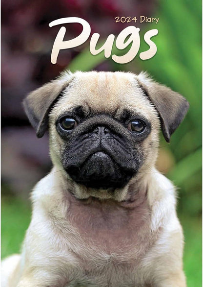 2024 Pugs A5 Engagement Diary