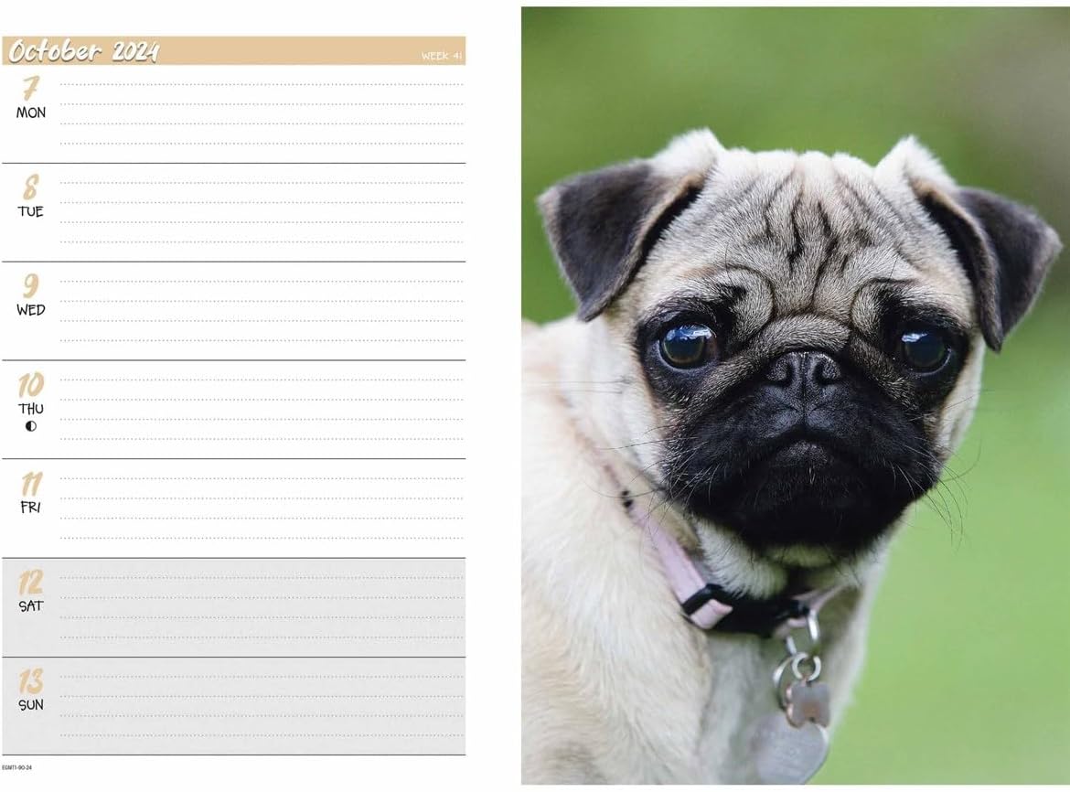 2024 Pugs A5 Engagement Diary