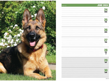 2024 German Shephards A5 Engagement Diary