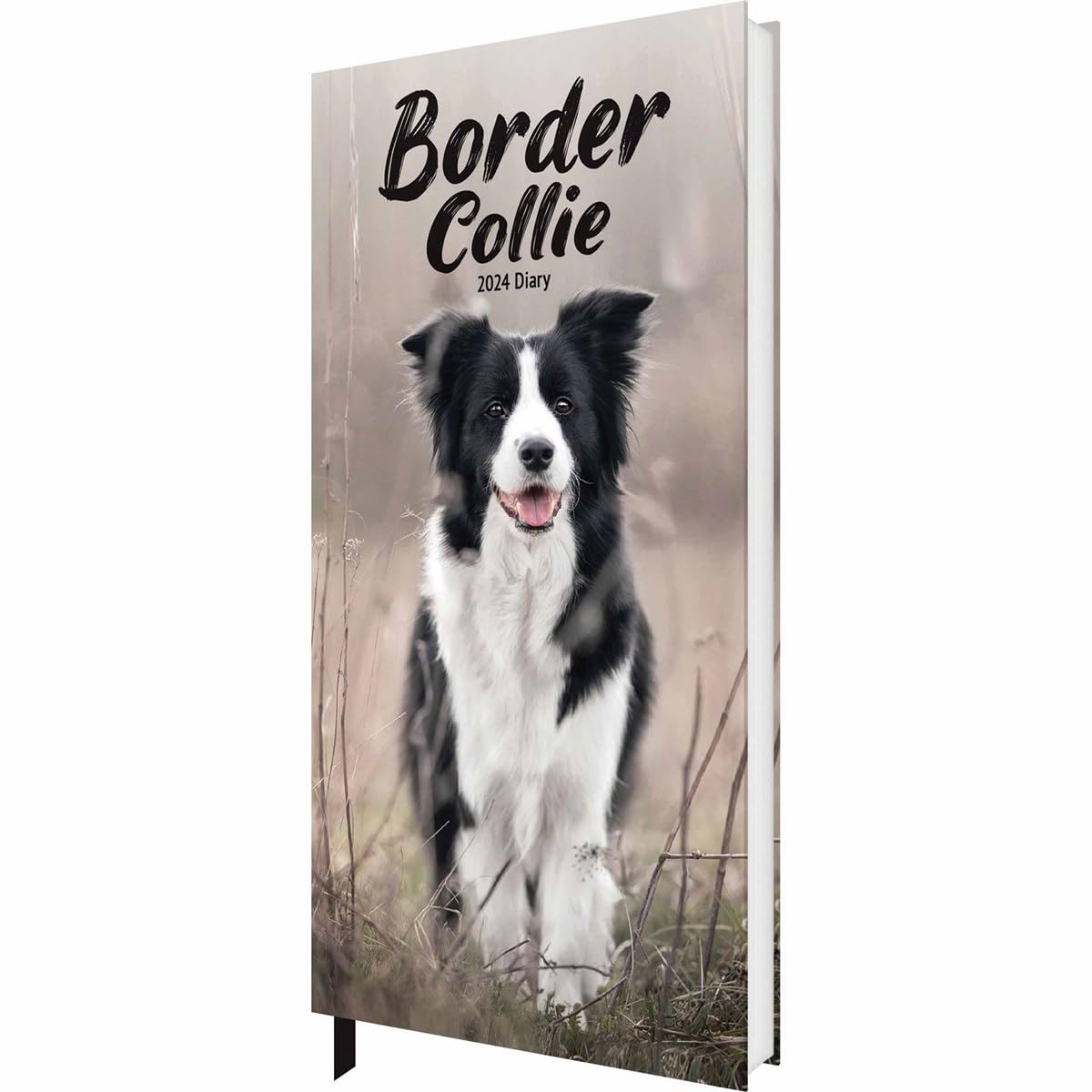 2024 Border Collies Slim Diary