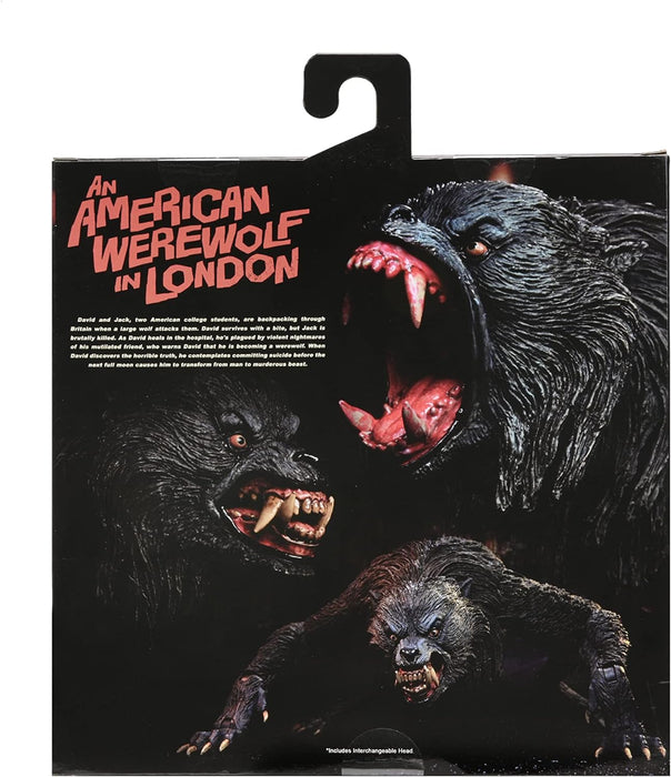 An American Werewolf In London - 17.8 cm Scale Action Figure - Ultimate Kessler Werewolf