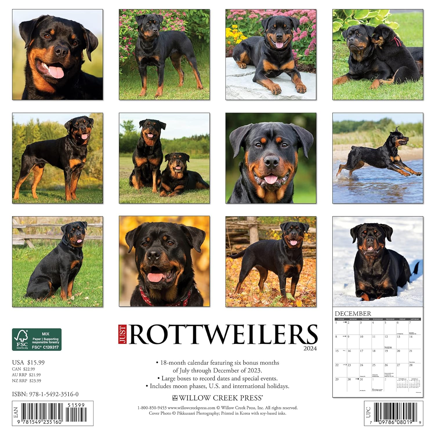 Just Rottweilers 2024 12 X 12 Wall Calendar