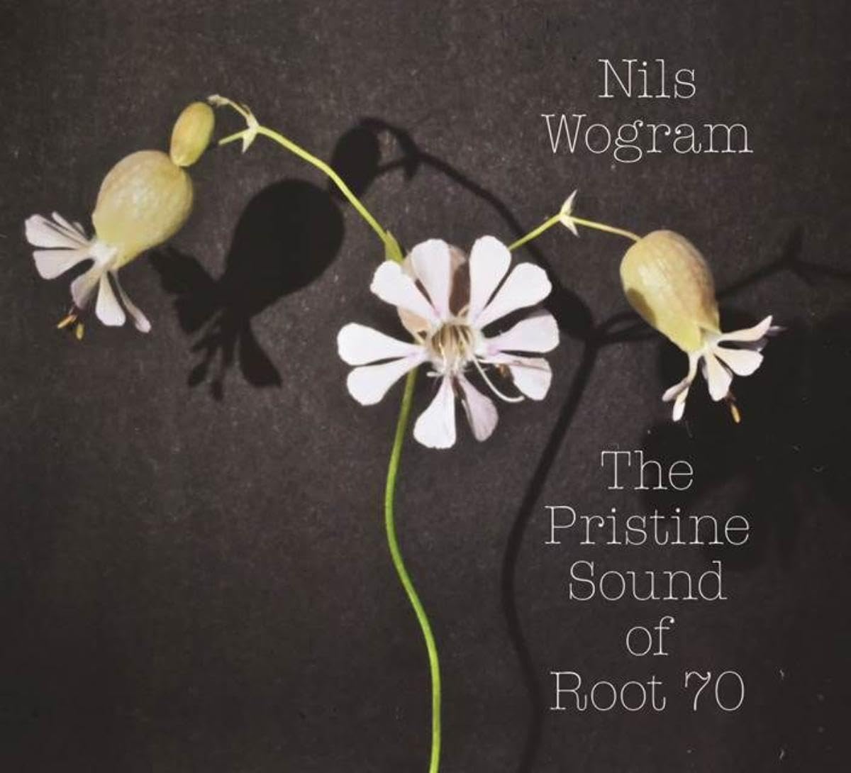 The Pristine Sound of Root 70