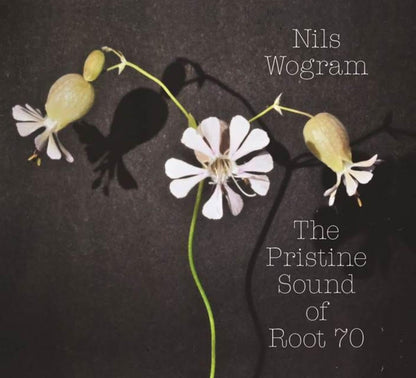 The Pristine Sound of Root 70