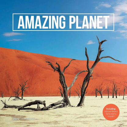 2024 Amazing Planet Wall Plastic Free