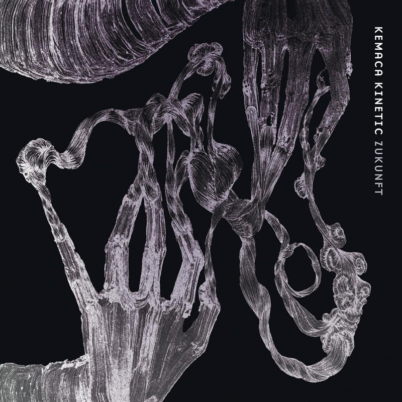 Lp-Kemaca Kinetic-Zukunft