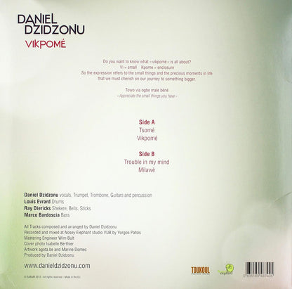 Daniel Dzidzonu - Vipkome