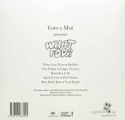 TORO Y MOI - WHAT FOR?