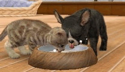 Nintendogs + Cats : Bulldog