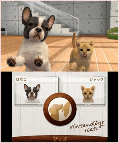 Nintendogs + Cats : Bulldog