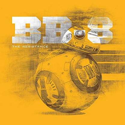 STAR WARS - Canvas 40X40 38mm - Episode VII - BB
