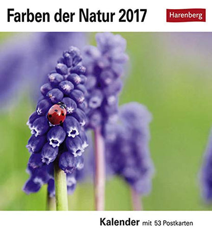 Harenberg Postkartenkalender Farben der Natur 2024