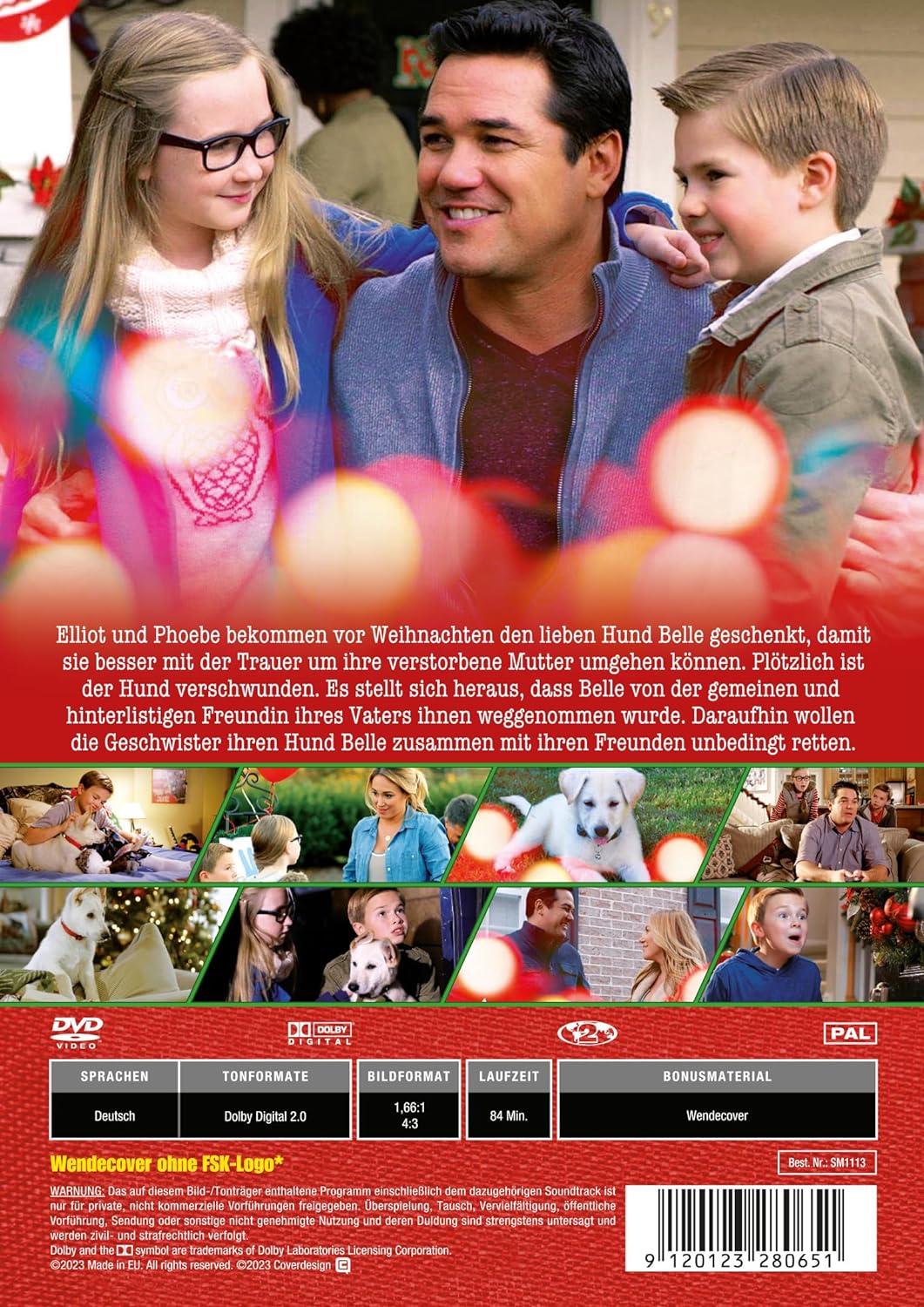 DALLAS, JASON - EIN HUNDEWELPE ZUM WEIHNACHTSFEST