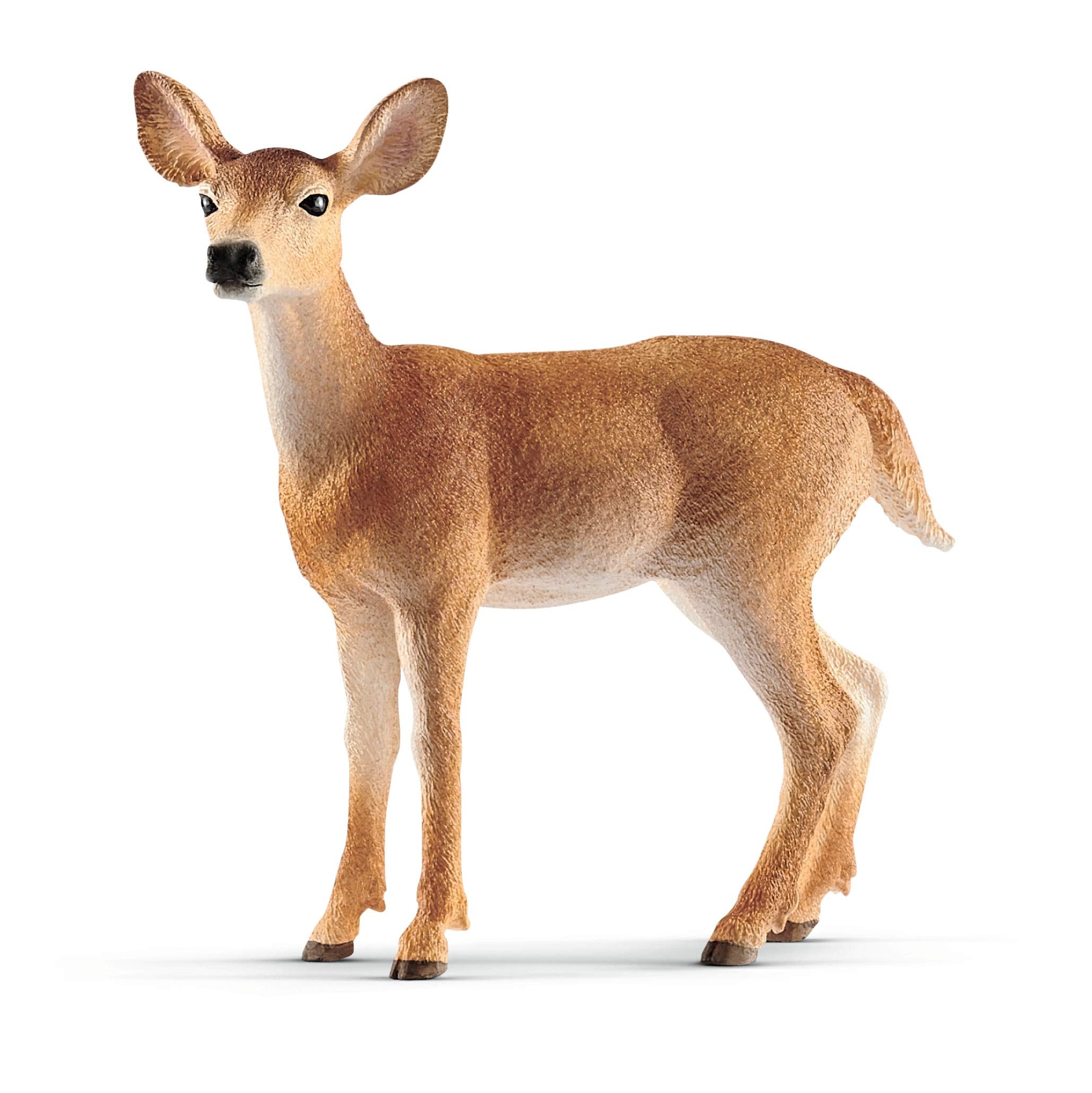 schleich 14819 Weißwedelkuh, ab 3 Jahren, WILD LIFE - Spielfigur, 9 x 4 x 9 cm