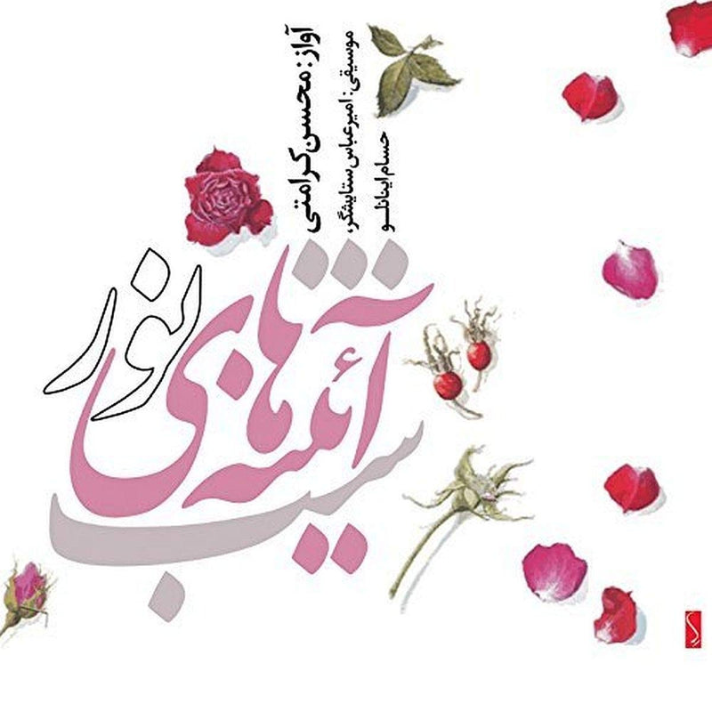 Mohsen - Amir Abbas Setayeshgar - Hesam Keramati - The Night Of Mirrors Of The Light