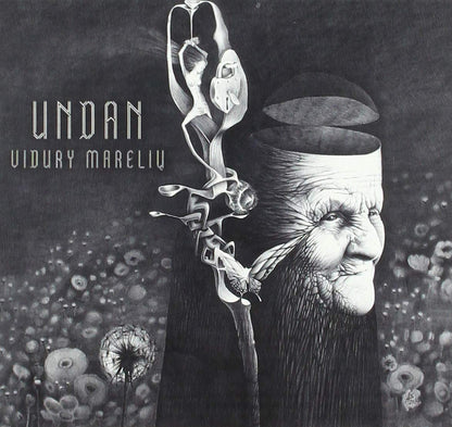Vidury Mareliu
