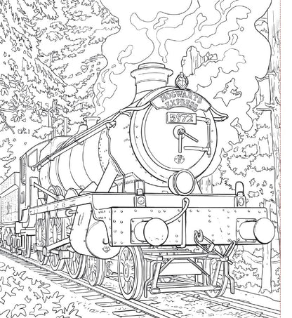 Harry Potter, Coloriages phosphorescents