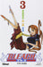 Bleach, tome 3 : Memories in the rain