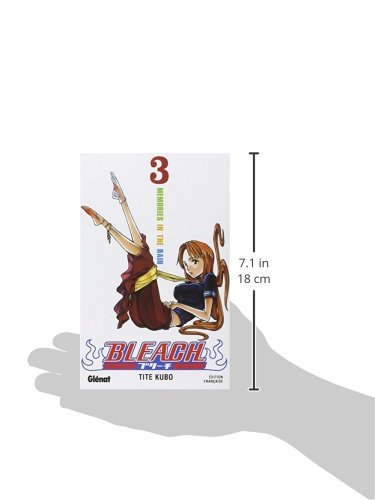 Bleach, tome 3 : Memories in the rain