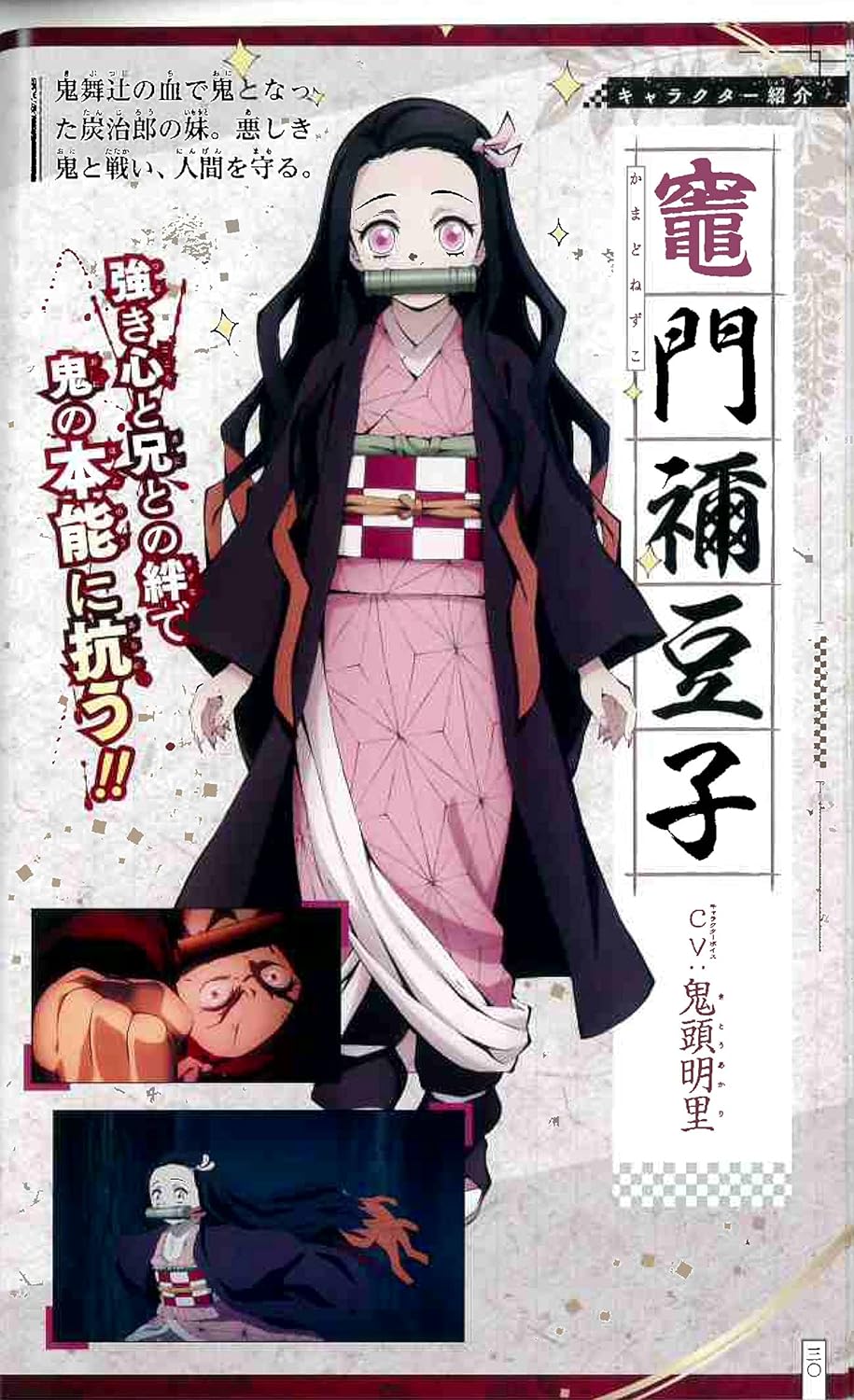 Demon Slayer : Le Guide officiel des personnages de l'anime T01