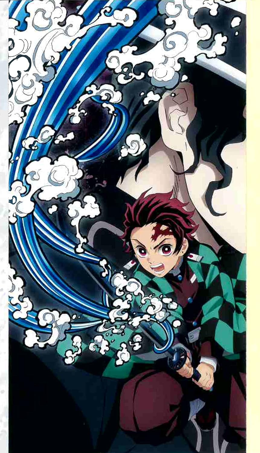 Demon Slayer : Le Guide officiel des personnages de l'anime T01