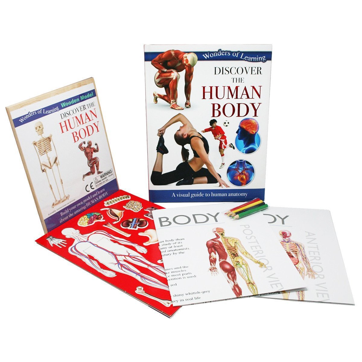 Discover The Human Body - Educational Box Set (Wonder of Learning