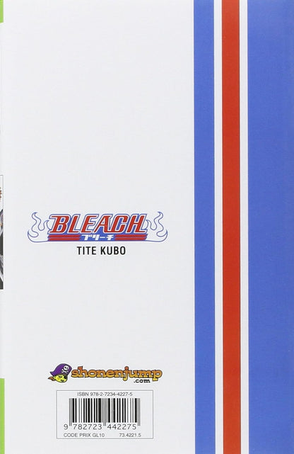 Bleach, tome 1 : The Death and the Strawberry