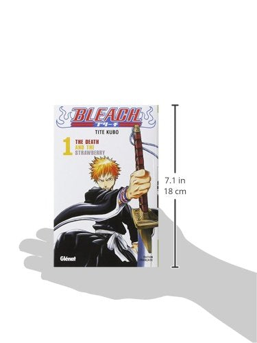 Bleach, tome 1 : The Death and the Strawberry