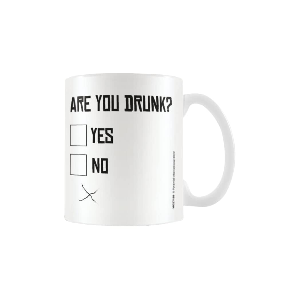 Pyramid International are You Drunk Mug (One Size) (White