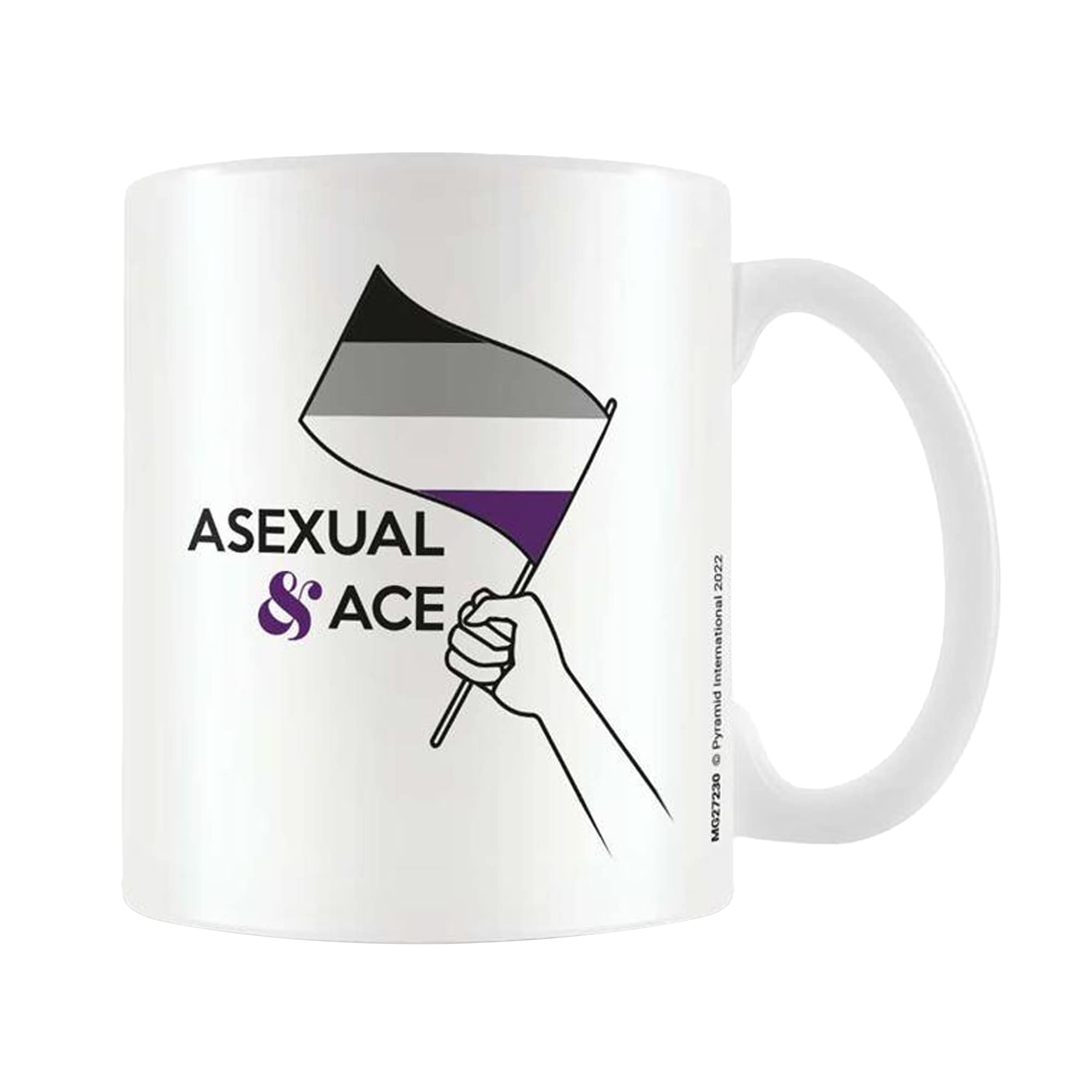 Pyramid International Asexual Mug