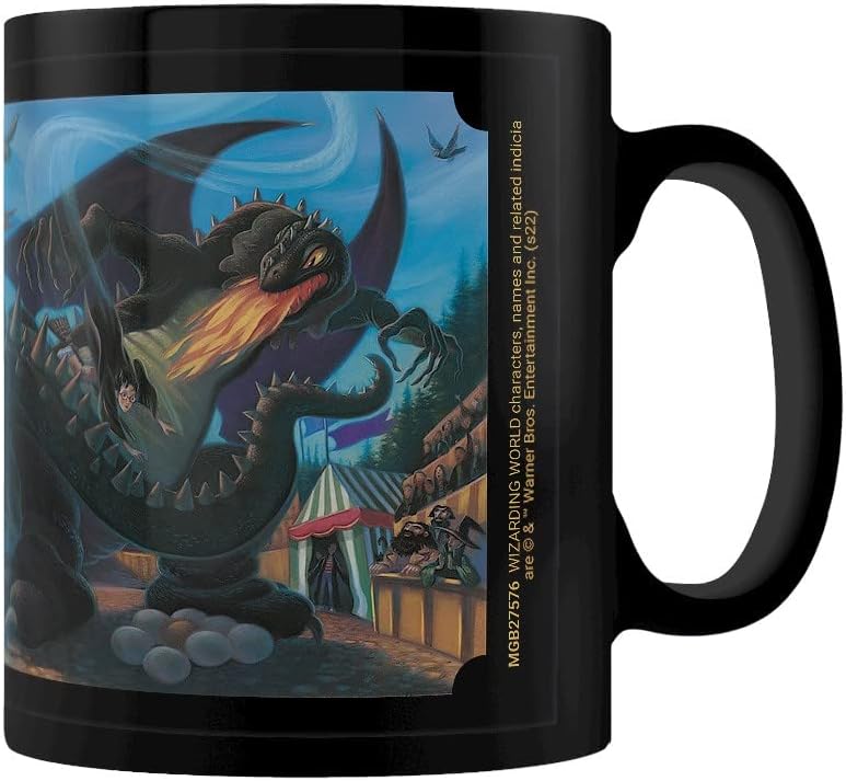 Pyramid International Harry Potter Mug in Presentation Gift Box (Anything is Possible Design) 11oz Ceramic Mug - Official Merchandise
