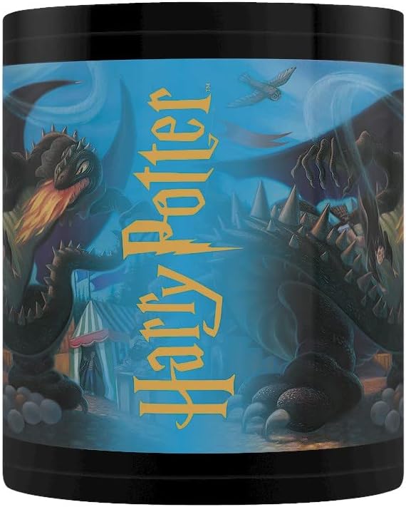 Pyramid International Harry Potter Mug in Presentation Gift Box (Anything is Possible Design) 11oz Ceramic Mug - Official Merchandise