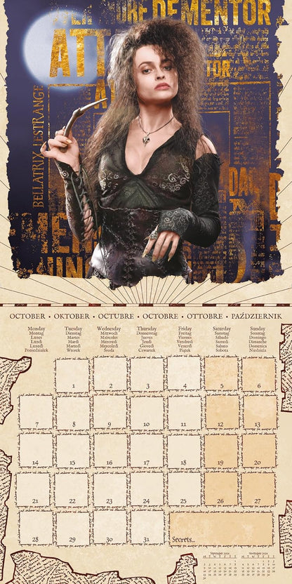 HARRY POTTER (MAGICAL FOUNDATIONS) 2024 30X30 SQUARE CALENDAR