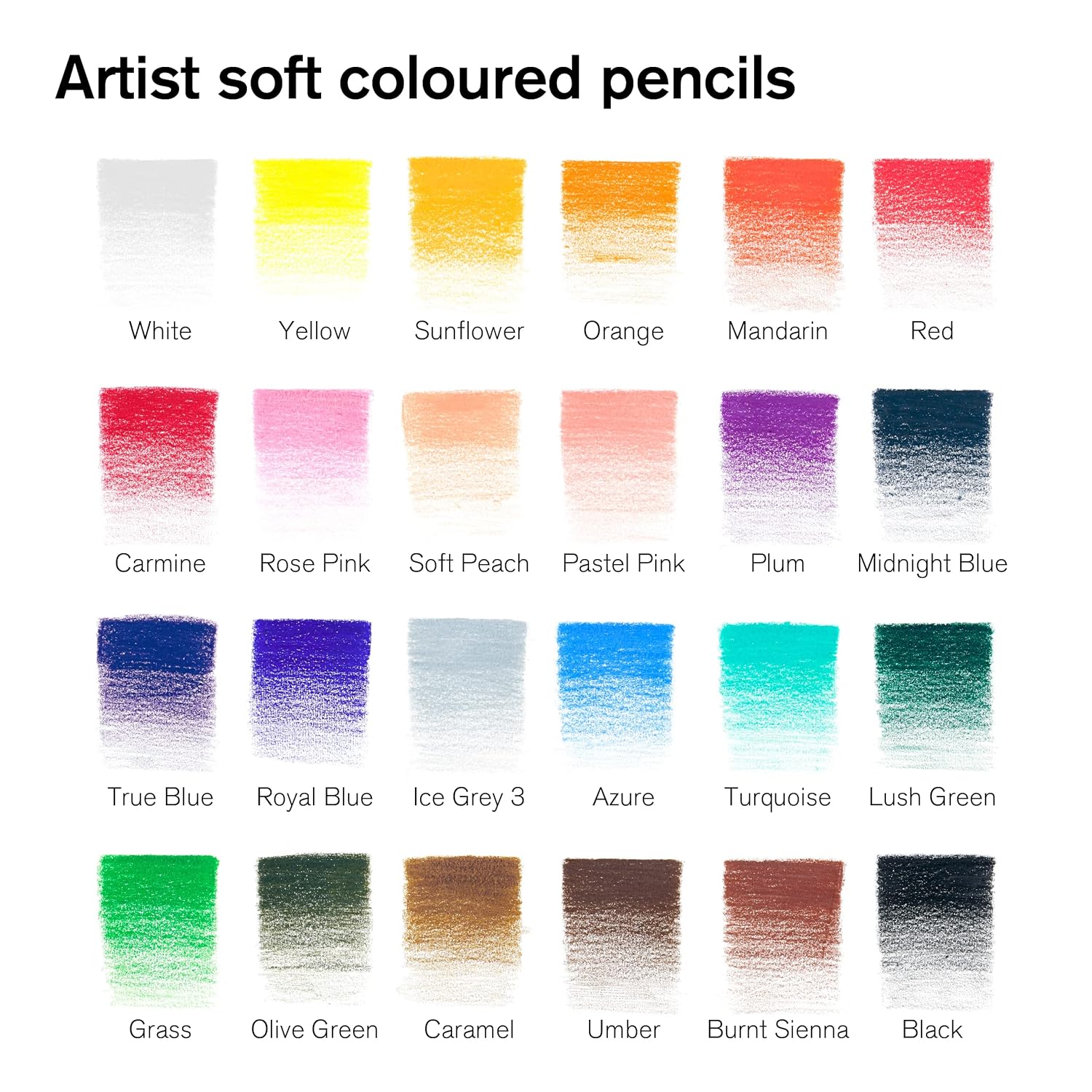 Winsor & Newton Studio Collection Colouring Pencils, 24 Soft Core Drawing Pencils, Premium Artist Quality, for Sketching, Blending, Shading and Layering 24 Count (Pack of 1)