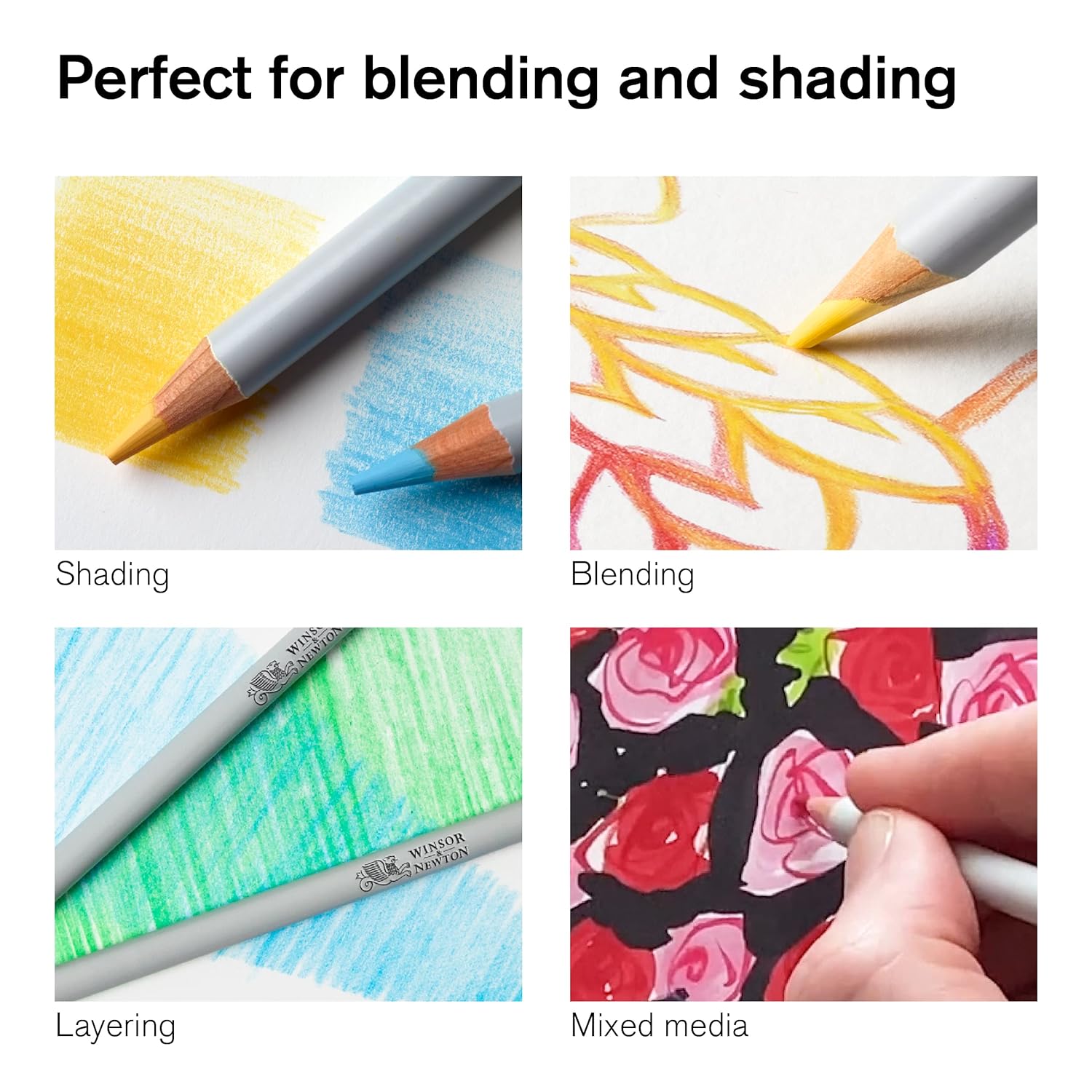Winsor & Newton Studio Collection Colouring Pencils, 24 Soft Core Drawing Pencils, Premium Artist Quality, for Sketching, Blending, Shading and Layering 24 Count (Pack of 1)
