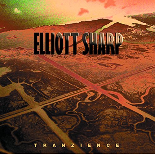 Elliott Sharp: Tranzience