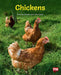 Chickens