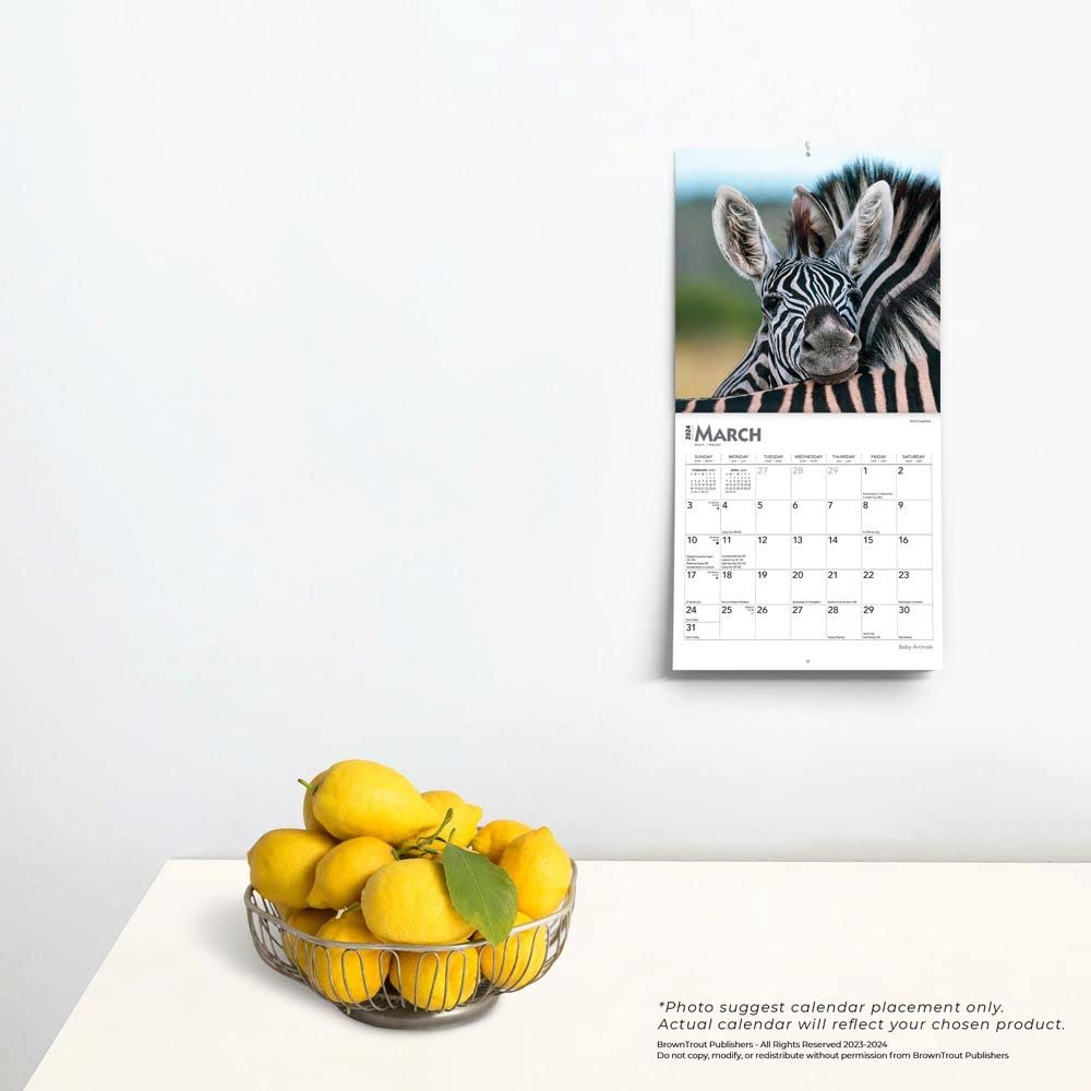 Baby Animals 2024 Mini 7X7