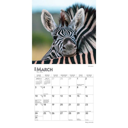 Baby Animals 2024 Mini 7X7