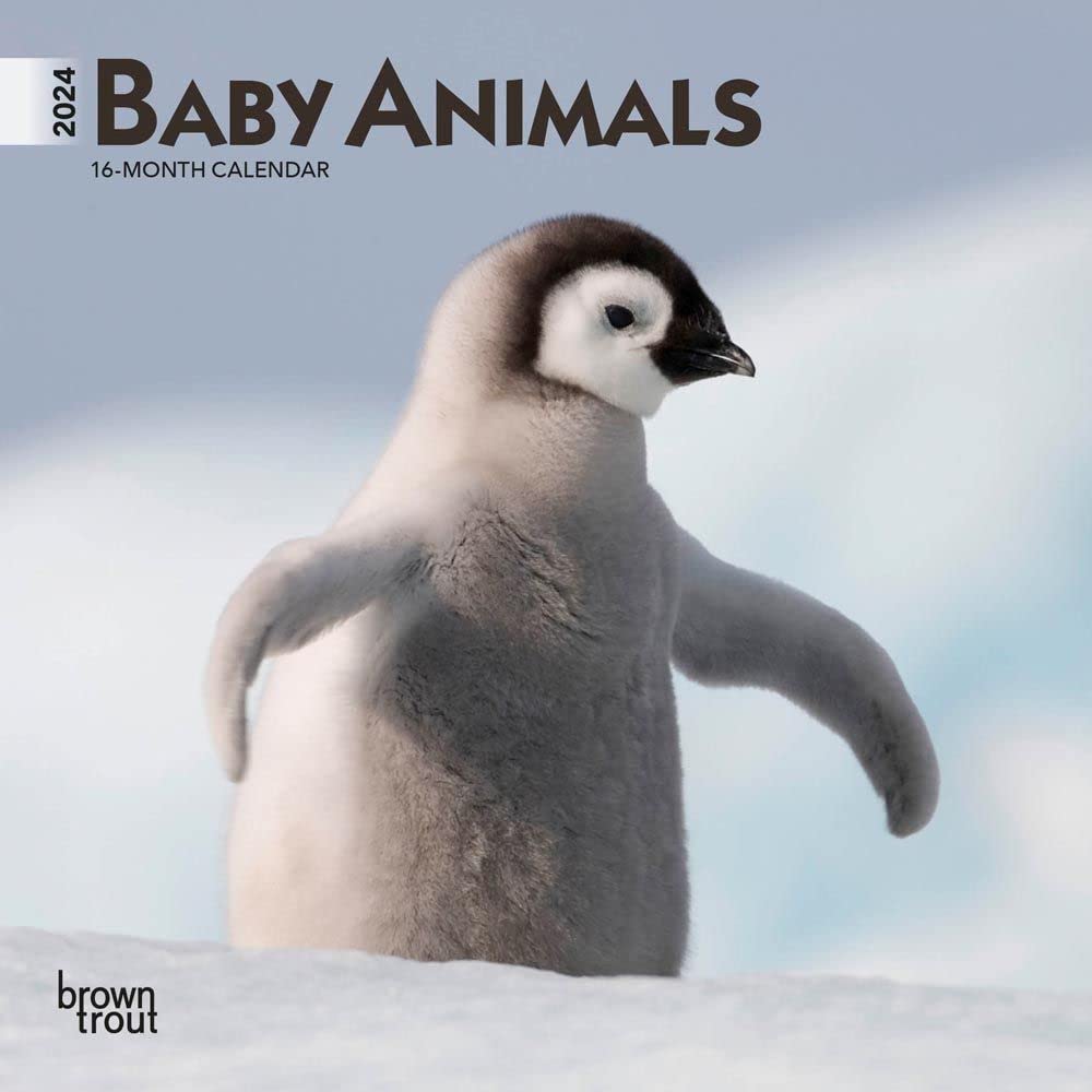 Baby Animals 2024 Mini 7X7