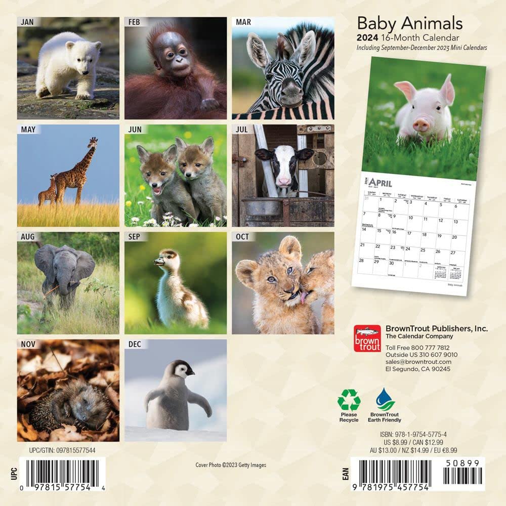 Baby Animals 2024 Mini 7X7