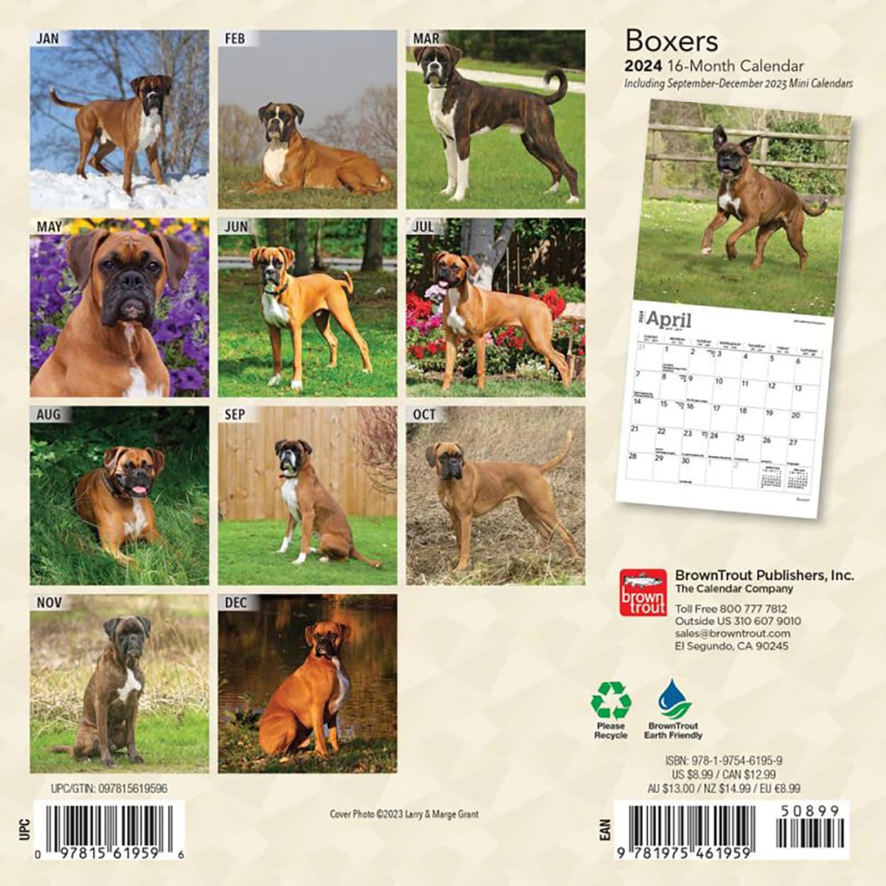 Boxers International Edition 2024 Mini 7