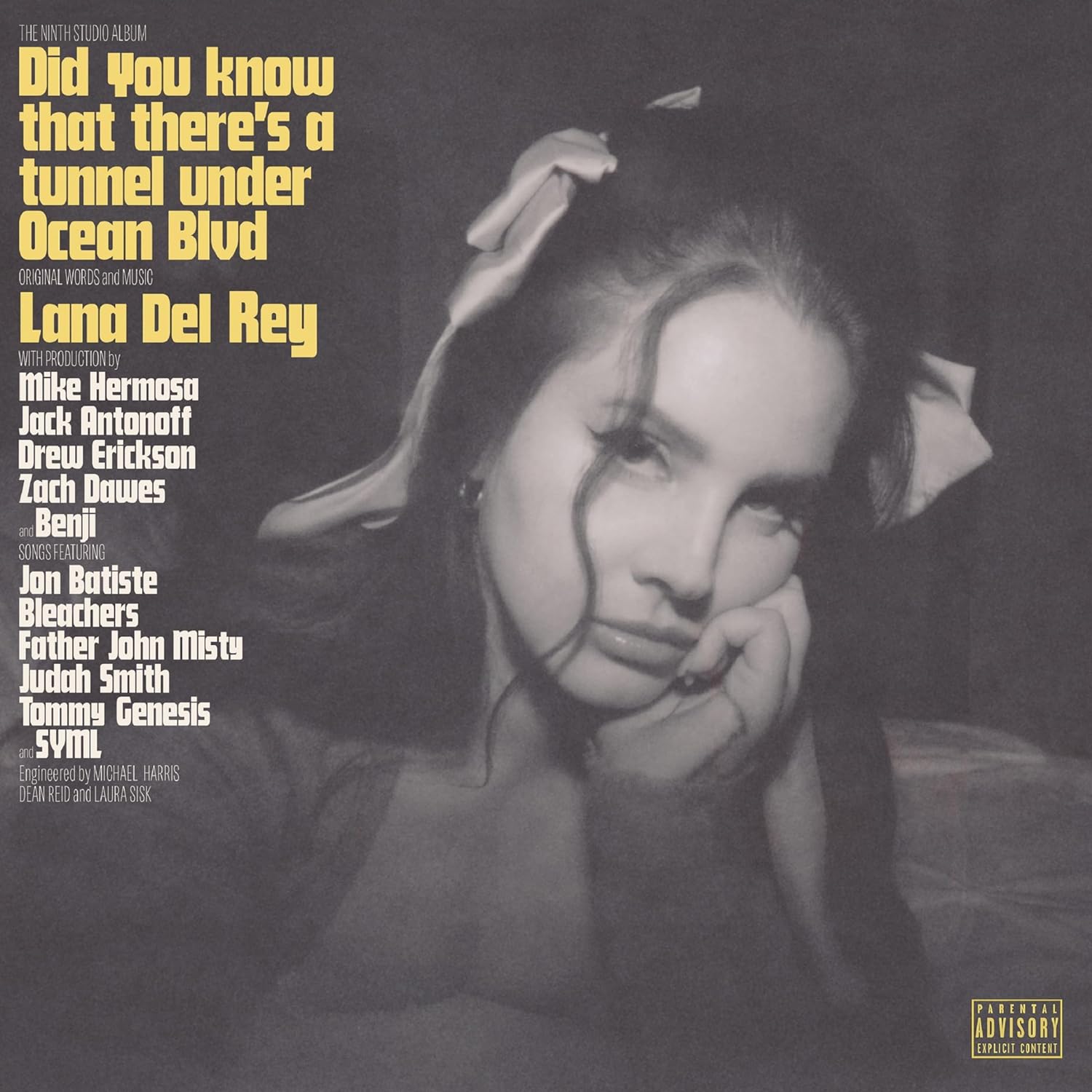 Did You Know That (Ltd. Alt Cover 2