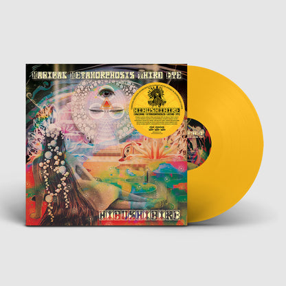 Magical Metamorphosis Third Eye