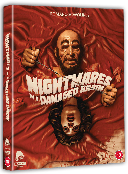 Nightmares in a Damaged Brain