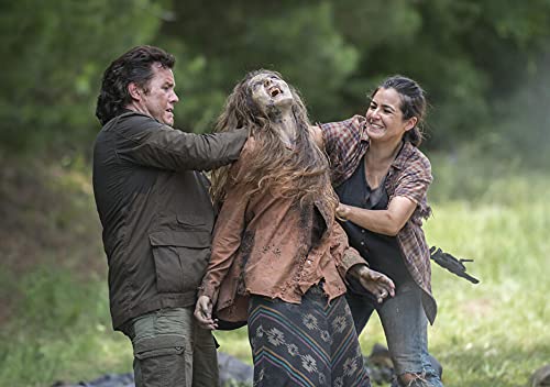 The Walking Dead - L'intégrale de la saison 5